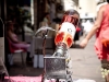 fete_des_vins-47