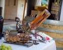 Fête des vins 2014 (41)