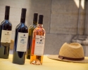 Fête des vins 2014 (45)